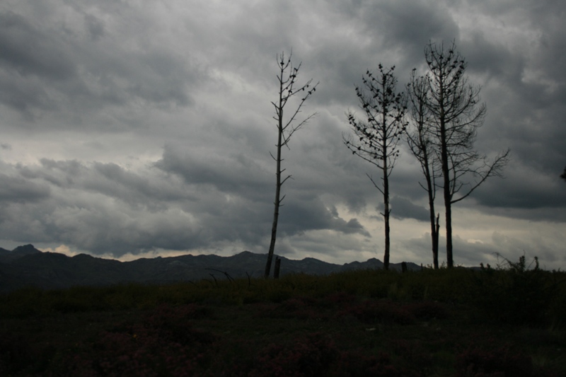 [2008.05.11+2+008.jpg]