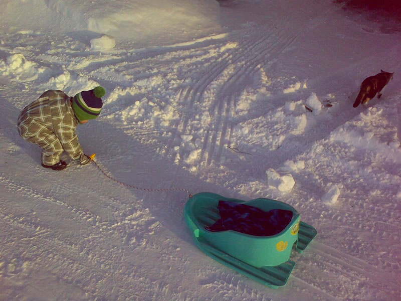 [20100305_hemma_åka_mer.jpg]