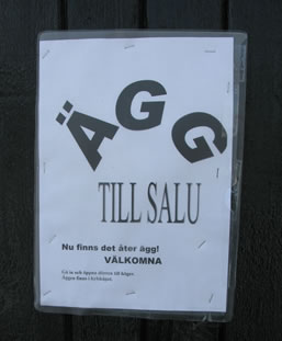 [20100307_ägg_till_salu.jpg]