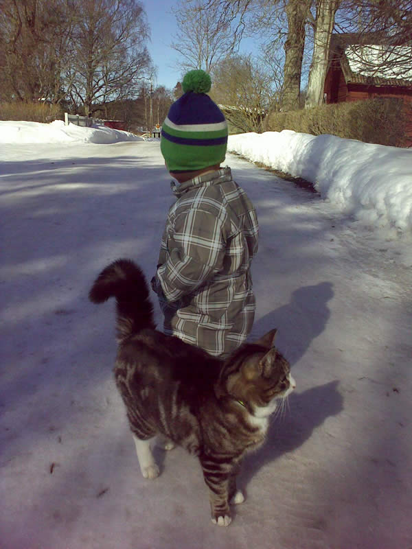 [20100317_lilla_s_katt1.jpg]