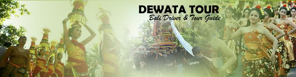 Bali Driver  | Bali Tour Package | Personal Tour Guide |