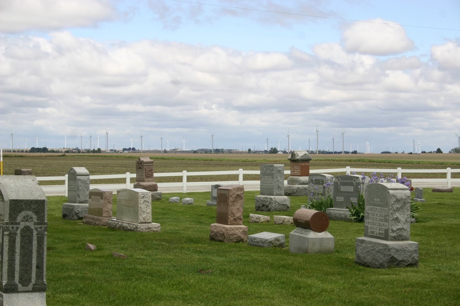 Needles in the Haystack May 2010