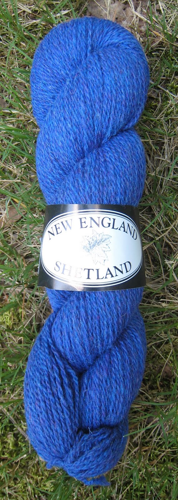 [New+England+Shetland+#28+iris.JPG]