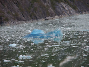 BLUE ICE!