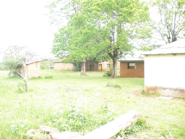 Ésta es Otra Vista de la Escuela