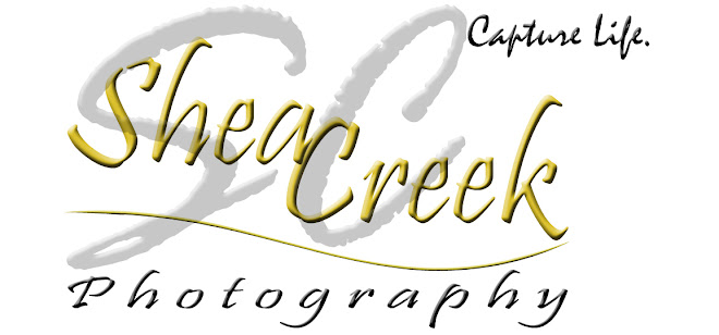 Shea Creek Photography