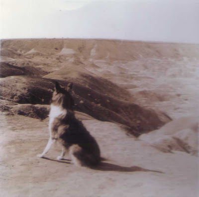 Lassie at the Painted Desert - 1955