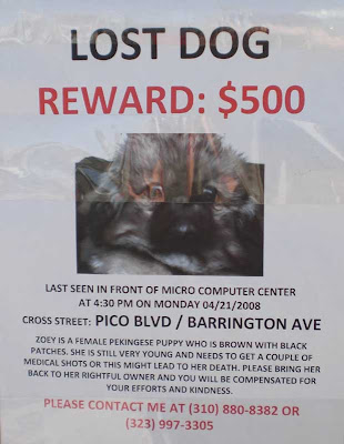 Lost Dog - Reward $500