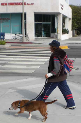 Santa Monica Dogwalkers