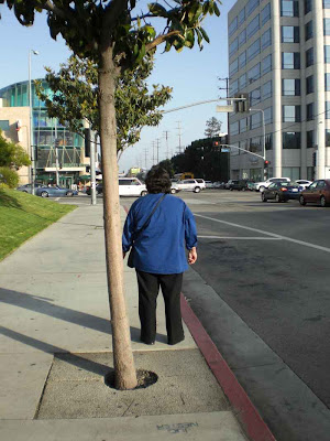 Waiting in Blue - West L.A.