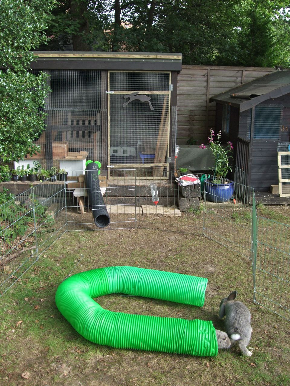 Anna Hull, Sock Bunny Maker to The World The Bunny House is Finished!