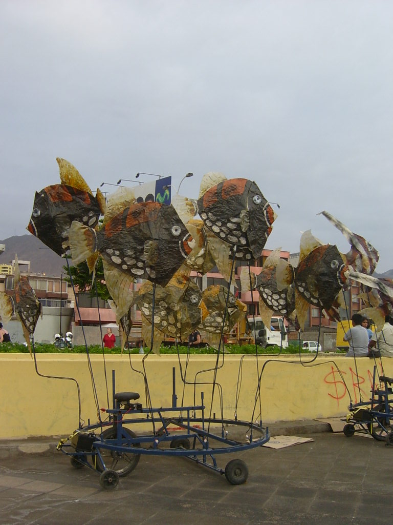 [S3600078.JPG]
