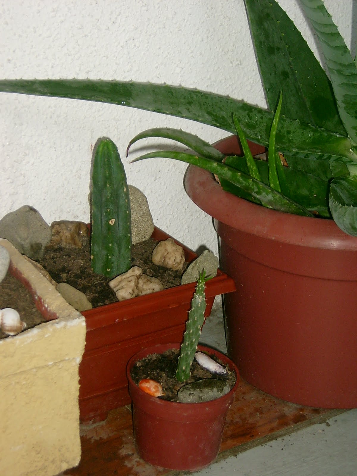 [S3600112.JPG]
