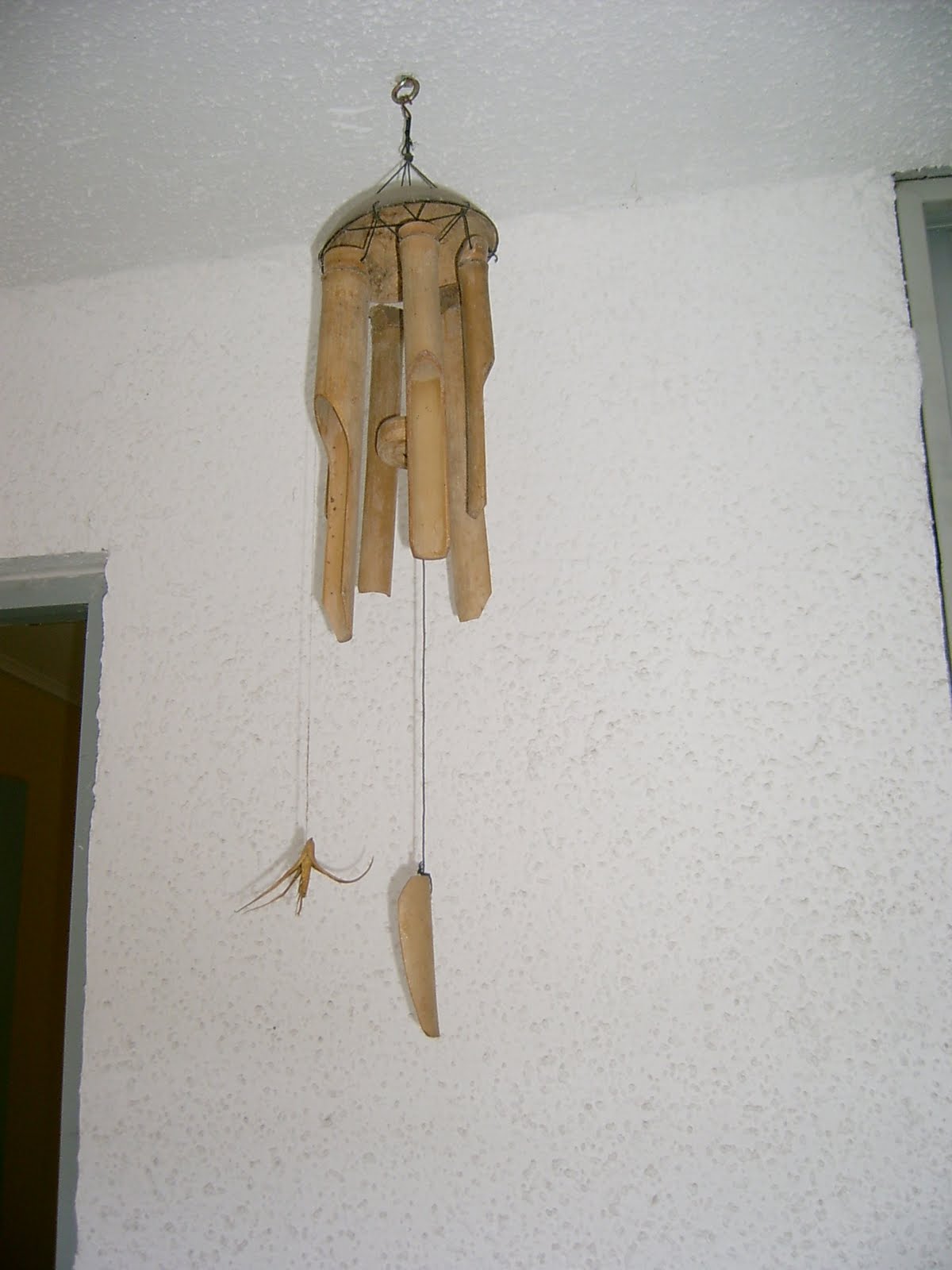 [S3600118.JPG]