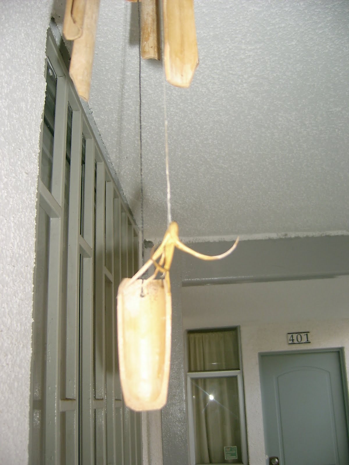 [S3600119.JPG]