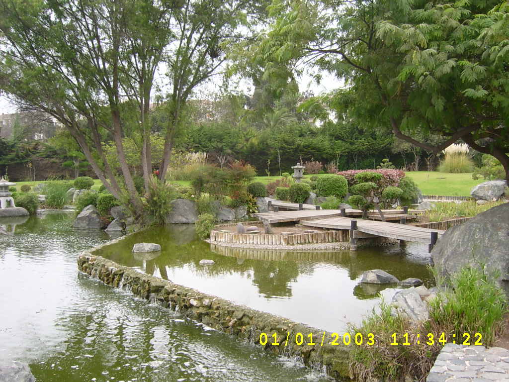 [S3600442.JPG]