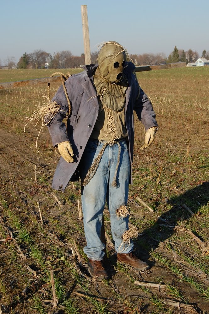The Scarecrow's Post: The Bubba Scarecrow