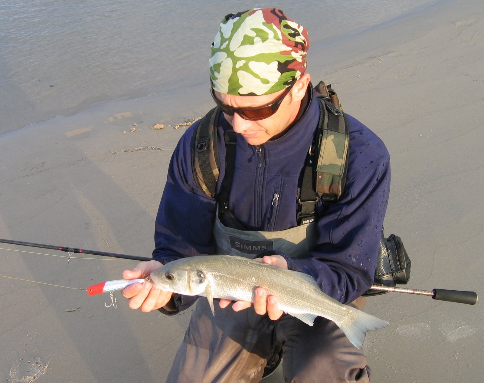 [14-11-2008+010-g.jpg]