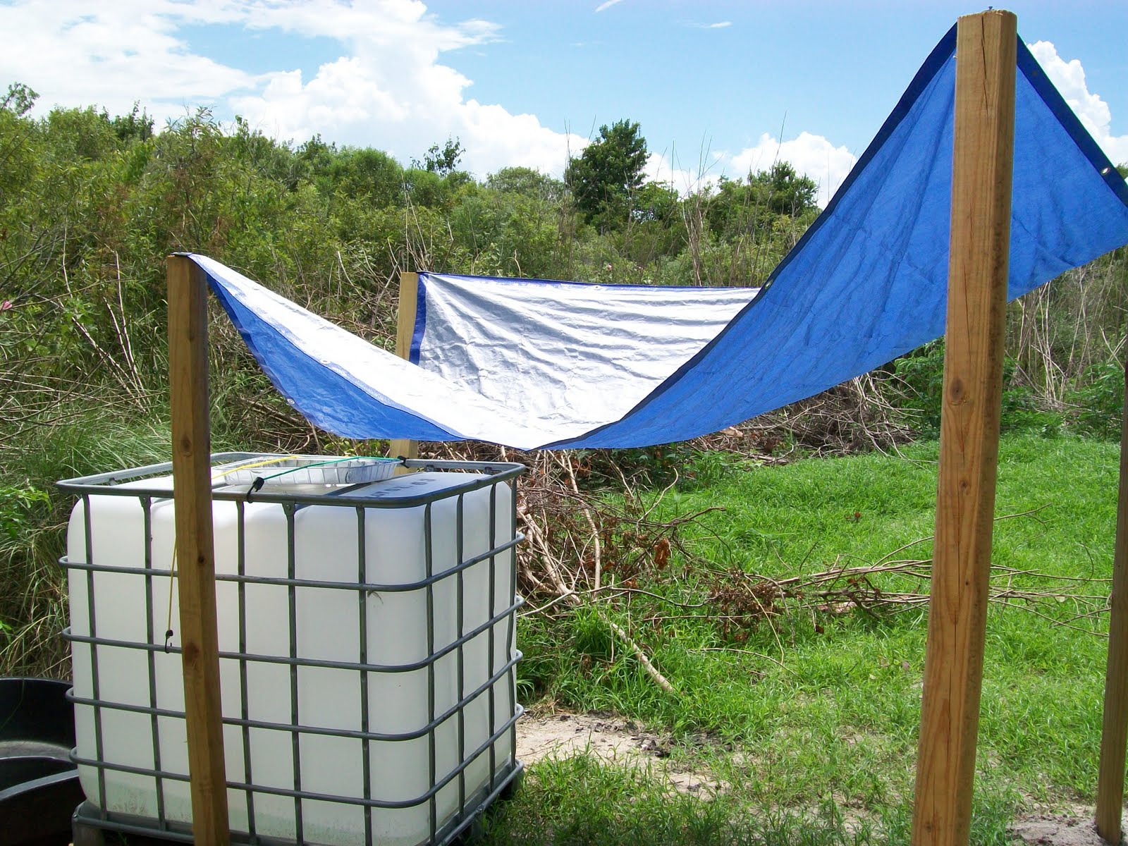 The Compound Rain Catchers