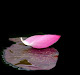 Ảnh của tôi