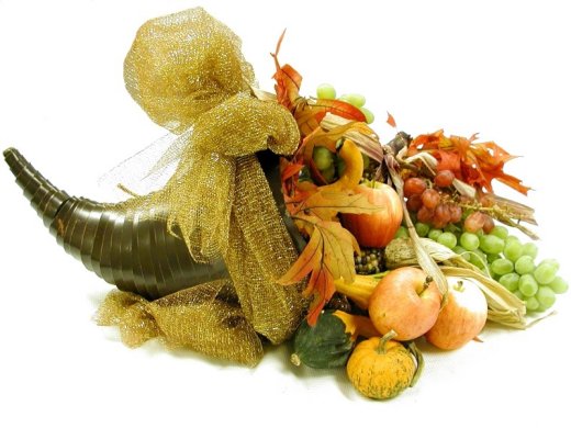 Cornucopia Pet Foods Reviews Cornucopia Pet Foods Reviews