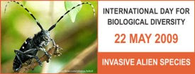 Invasive alien species photo competition