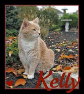 Farewell Dear Kelly