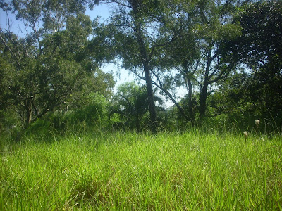 trekking no Morro Santana em Porto Alegre, RS