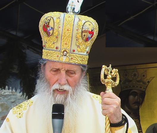 [IPS+Pimen+la+Putna.jpg]