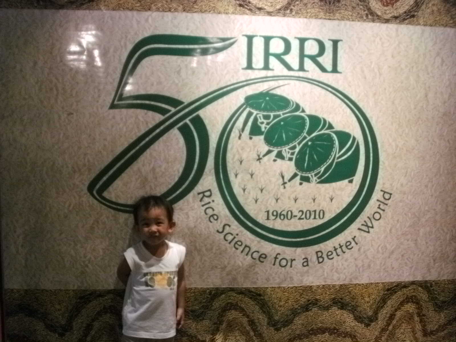 UPLB Museum of Natural History and IRRI Rice World | Island Travel