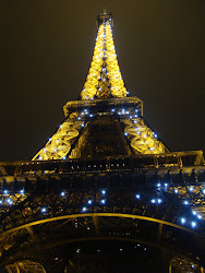 tower eiffel lights twinkle denis
