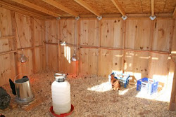 chicken coop heating pad farm coops plans relate