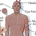 Symptoms of Dengue and Treatment