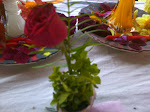 single flower