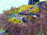 mehndi decoration