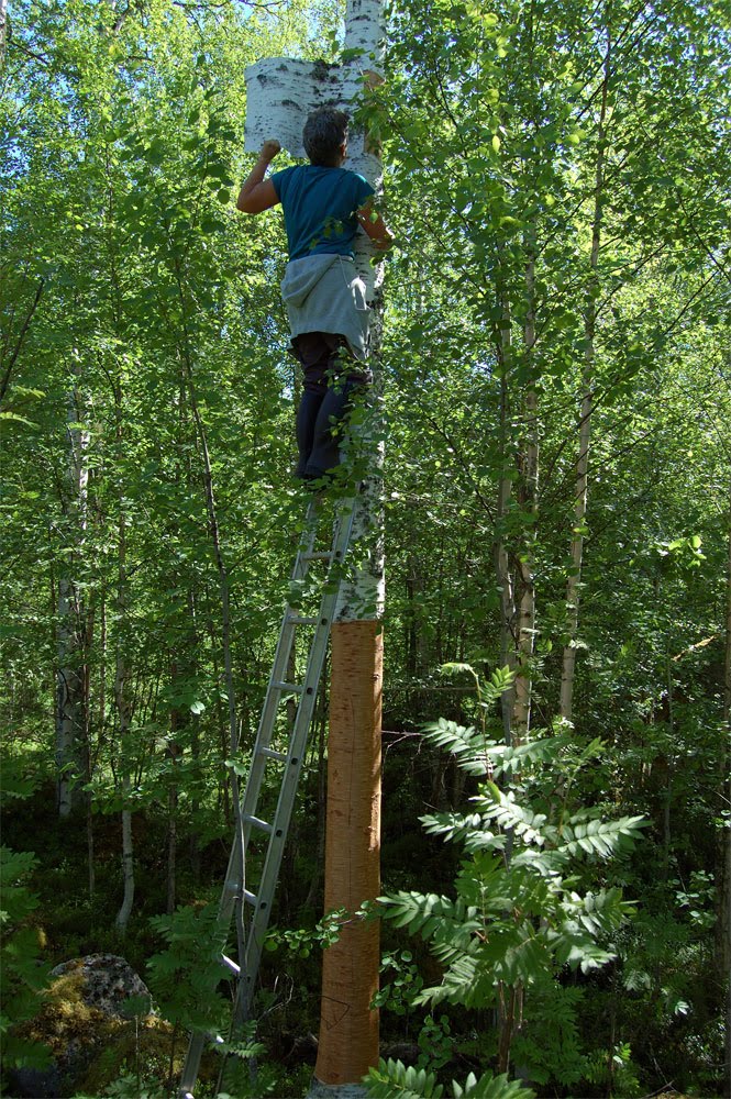 [navertaktfagelsjo.jpg]