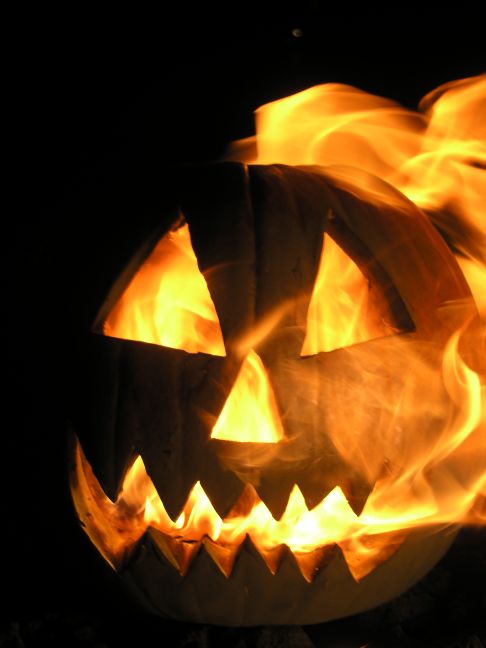 DECK THE HOLIDAY'S: TIPS FOR KEEPING YOUR JACK-O-LANTERN FRESH TILL ...