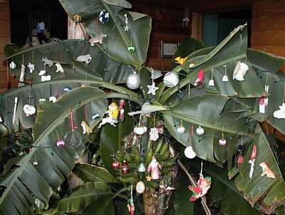 deck the holiday s indian christmas traditions deck the holiday s indian christmas traditions