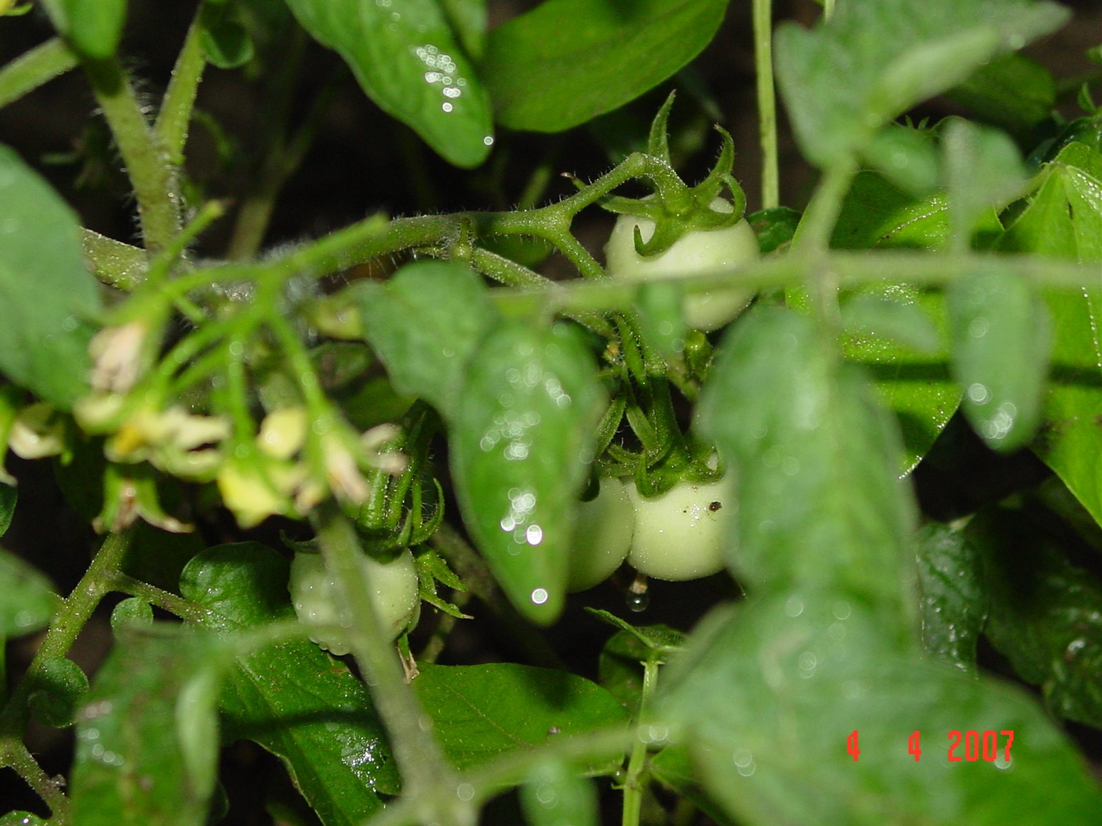[DSC01377.JPG]