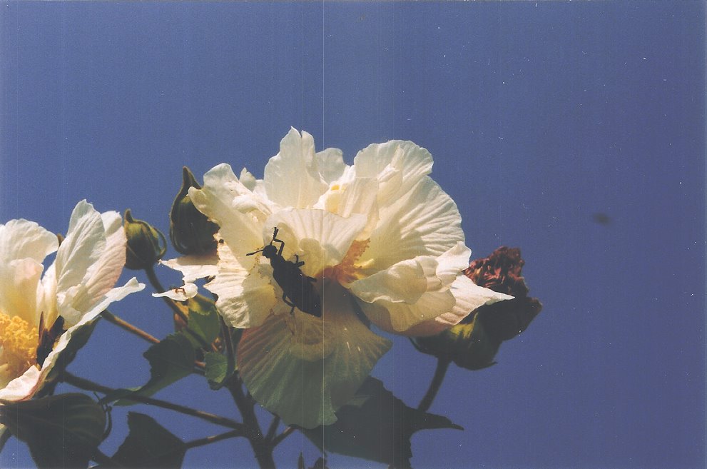 [19.bmp]