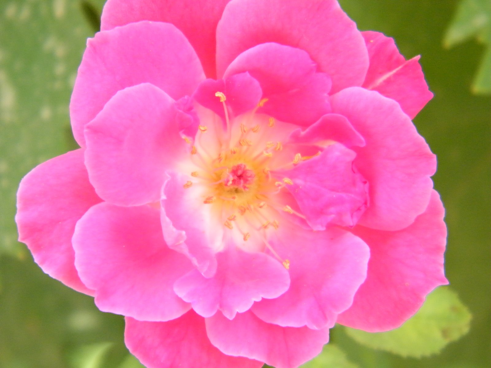 [2009_0614fun0104.JPG]