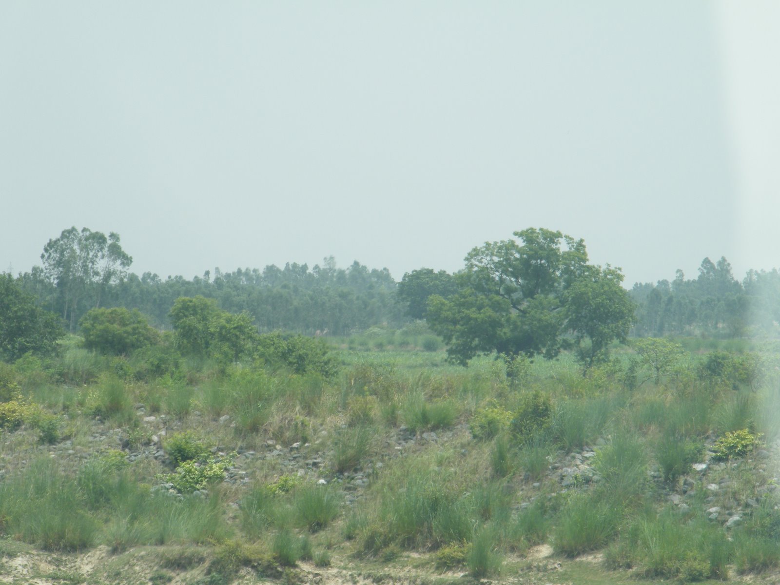 [DSCF0735.jpg]