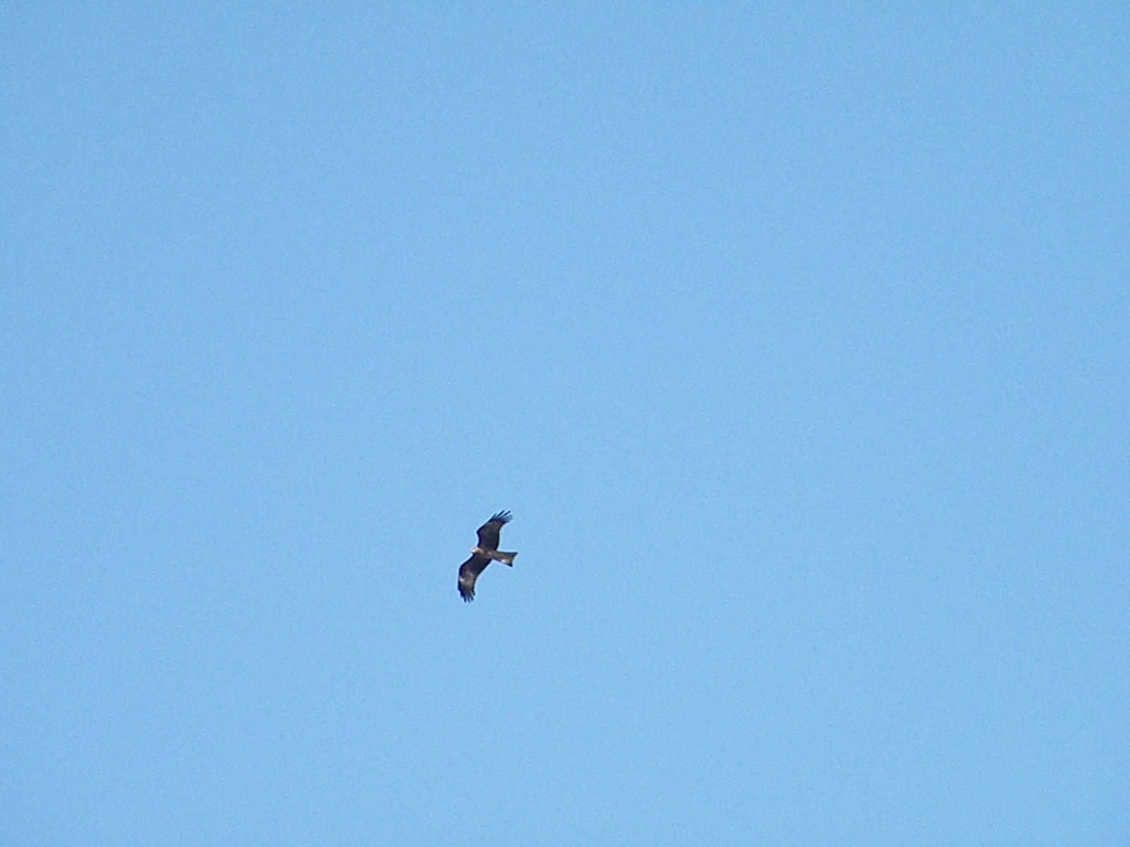 [2009_0621fun0024.JPG]
