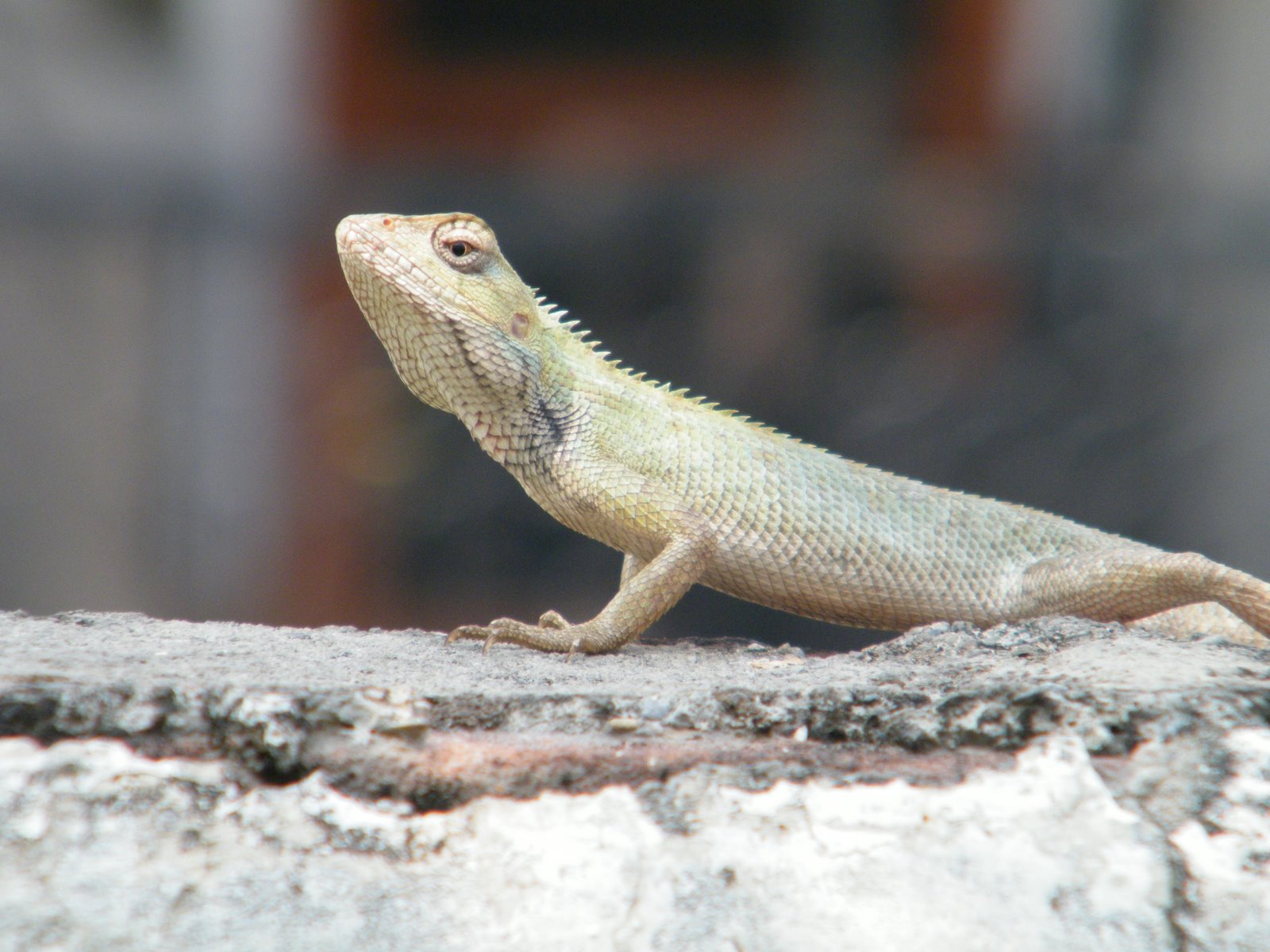 [2009_0704fun0032.JPG]