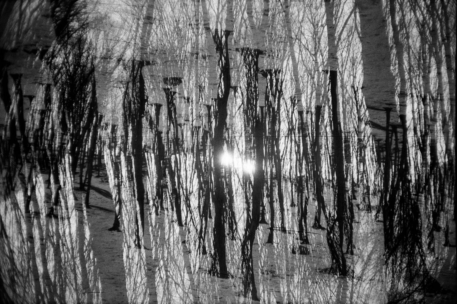 [Untitled-Scanned-08.jpg]