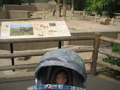 First trip to the zoo