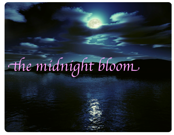 The Midnight Bloom