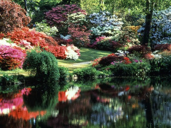from the basement...: --gardens of the world--