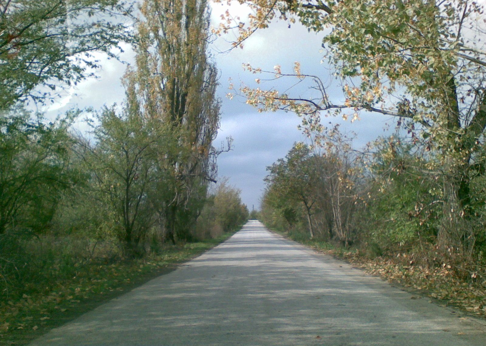 [26102008(002).jpg]