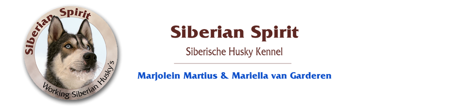Siberian Spirit, siberische husky kennel